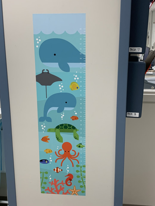 Height Chart