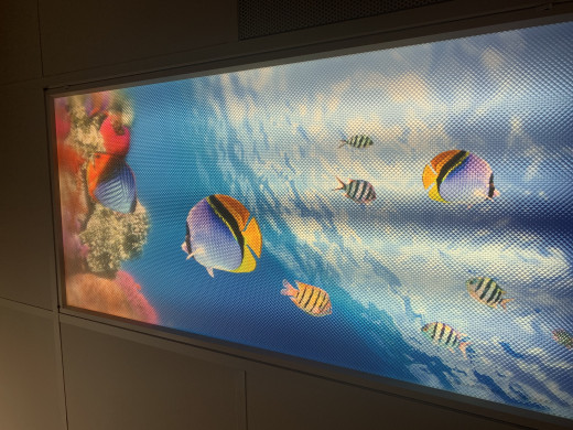 Ocean Theme