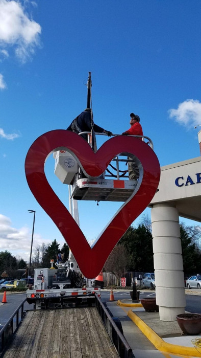 The heart preparing to be lifted