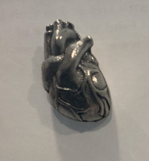 Anatomical Heart Pin given to staff for this occasion. 
