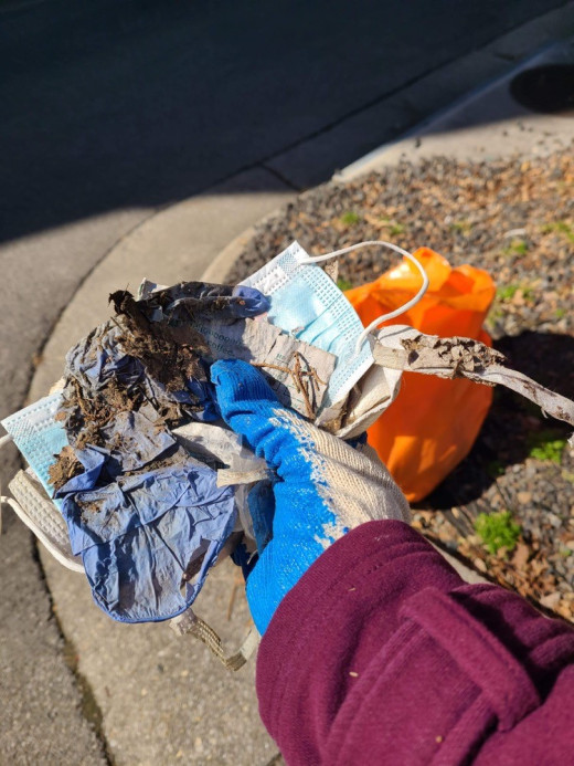 items collected during Clean-up day