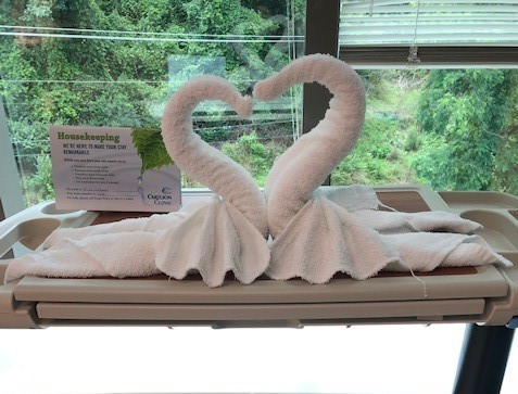 EVS Towel Art