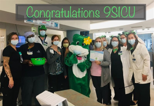 9SICU Staff and Frogs
