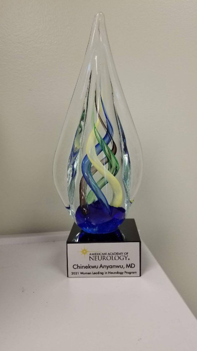 AAN Women in Neurology Program