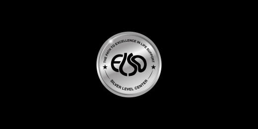 Silver Level ELSO Award 