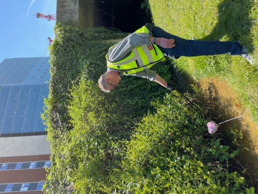 Clean Up Day 