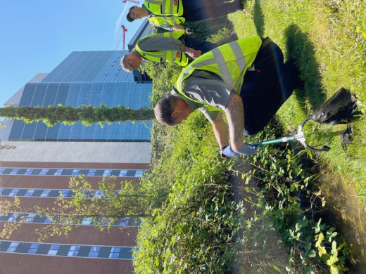 Clean Up Day 