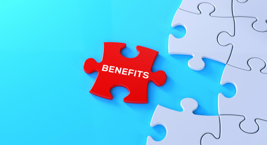 benefitspuzzle red