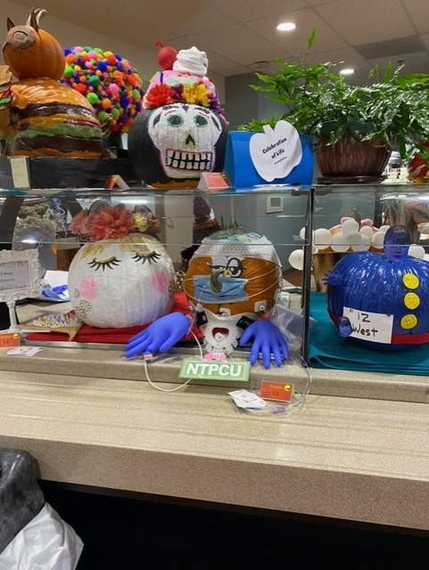 Pumpkin Contest