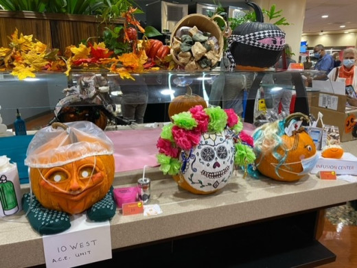 Pumpkin Contest