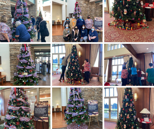 Photos of all Three Trees