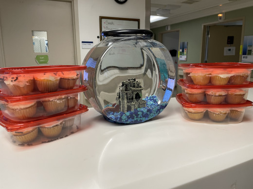 Beta fish and cupcakes