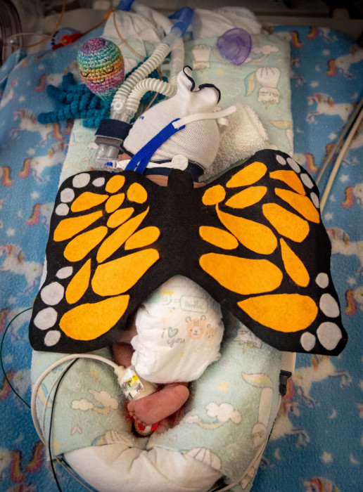 NICU patient dressed up as a monarch butterfly for Halloween