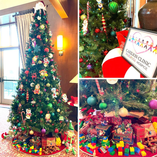 Carilion Clinic Hospice Fashions for Evergreens 2022
