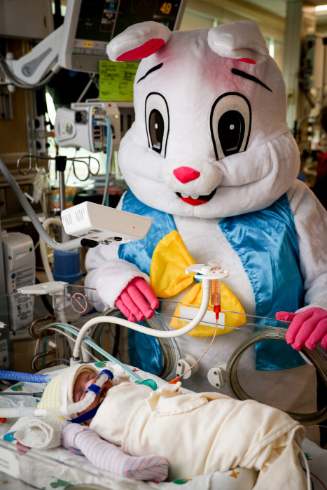 Easter Bunny with NICU patient