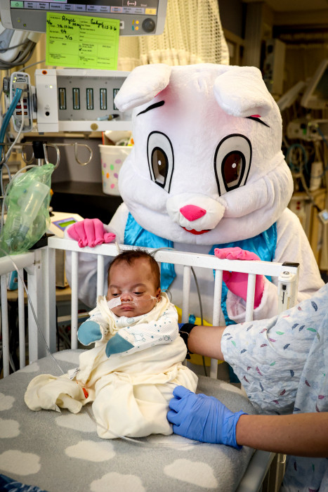 Easter Bunny with NICU patient