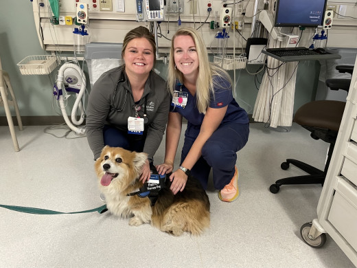 Bethanie Smithers PACU RN & Katie Harpine PACU RN 