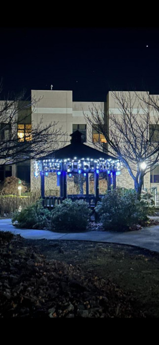 Gazebo lights