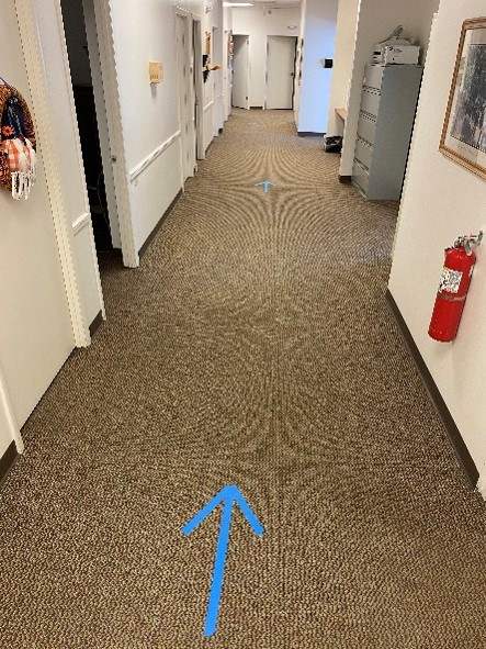 Greening the Office 