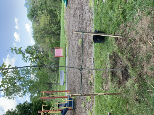 Earth Day Tree Planting Event 