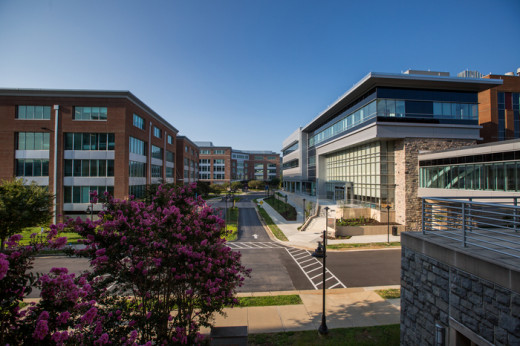 Riverside research area 