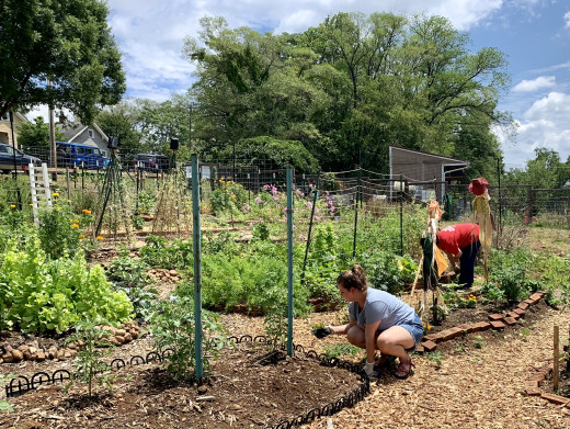 Team working in the garden