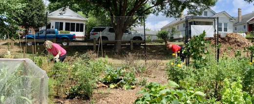 Team working in the garden