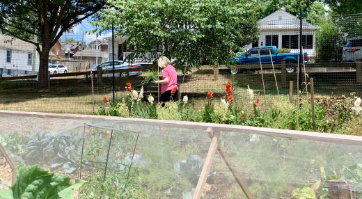 Team working in the garden