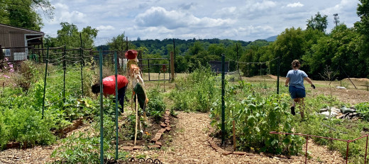 Team working in the garden
