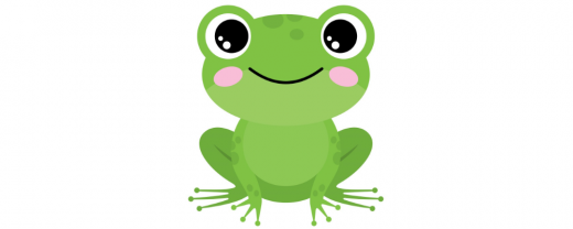 new frog