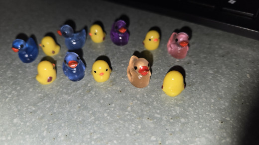 duck hunt