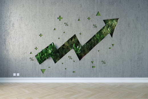 sustainability