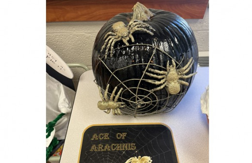 1 East Nursing Admin - Ace of Arachnis