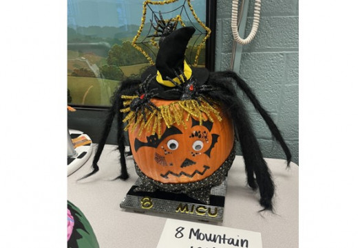 8 Mountain ICU - Pumpkin 1