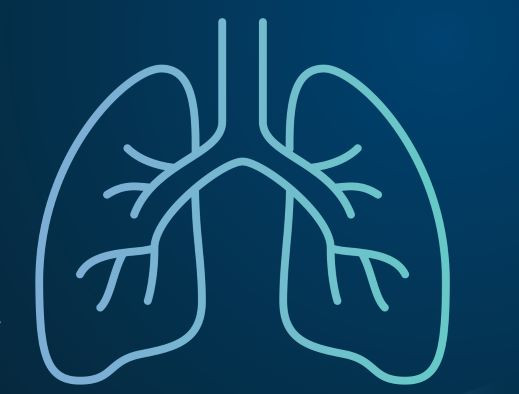 Lung