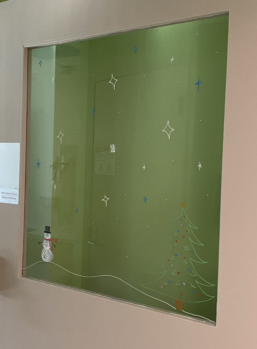 A Winter Scene on a Door Window