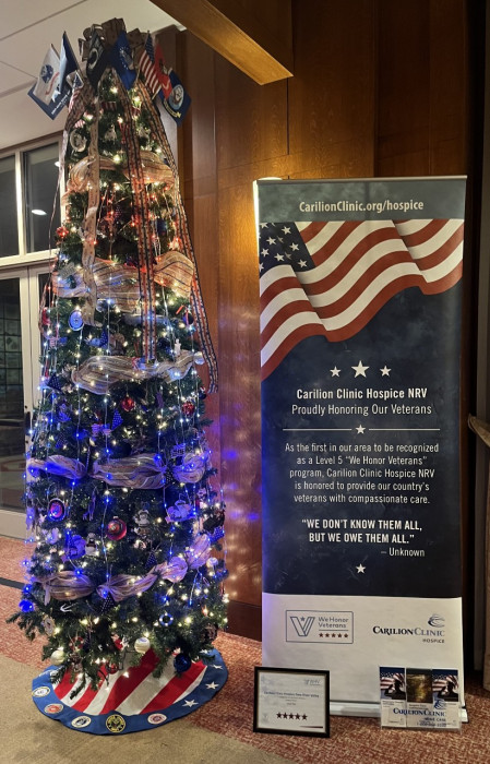 NRV Hospice placed a tree at the Doubletree Inn.  To cast a vote, visit https://www.facebook.com/share/19bLesbp4v/