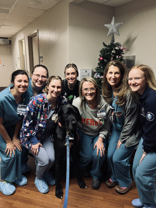 Labor and Delivery enjoyed a picture in front of the Christmas tree with our pet therapy dog, Marshall. 