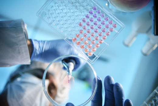 person in lab studying samples