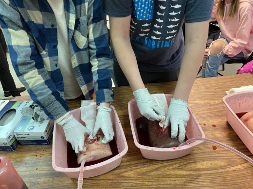 High School Students being taught bleeding control