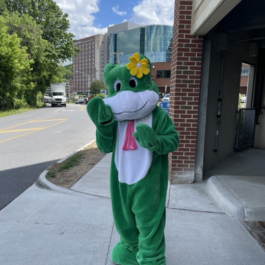Paddy the FROG