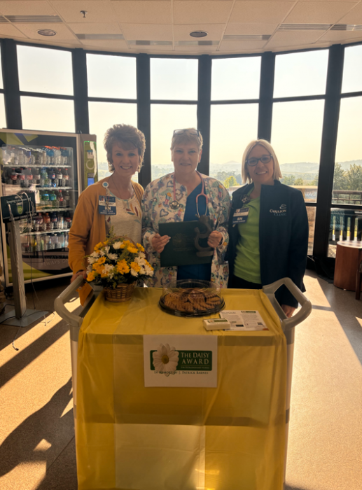 Kristi Hall, Lisa Mcdowell, Megan Morton