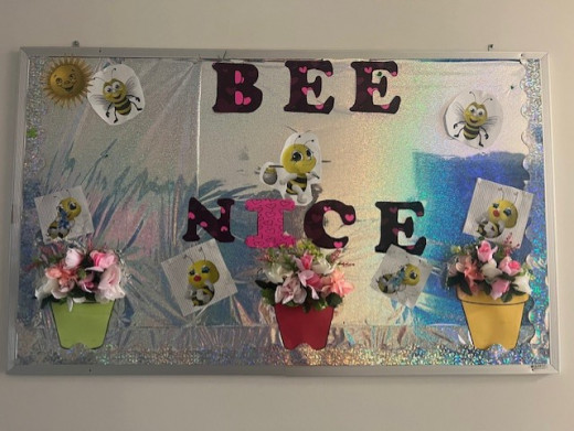 Be nice Spring Board