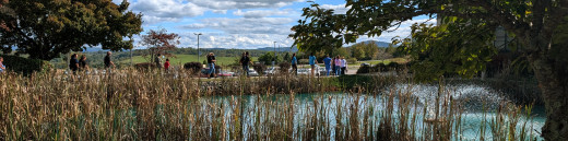 Walking along CNRV Pond area
