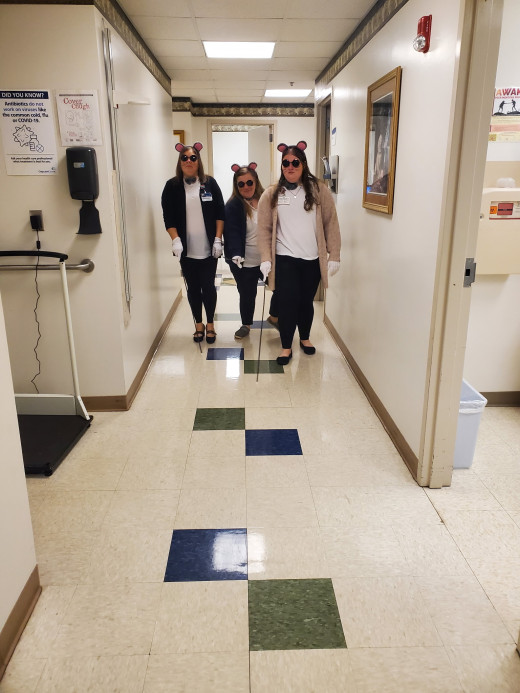3 Blind Mice