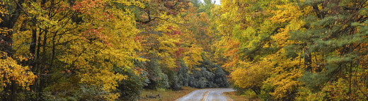 parkway with autumn leaves