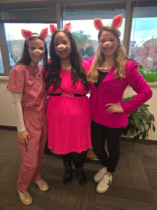 3 Little Pigs