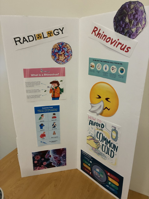 Tazewell's Radiology’s Rhinoviruses focused on preventing rhinovirus, keeping their poster both fun and informative.