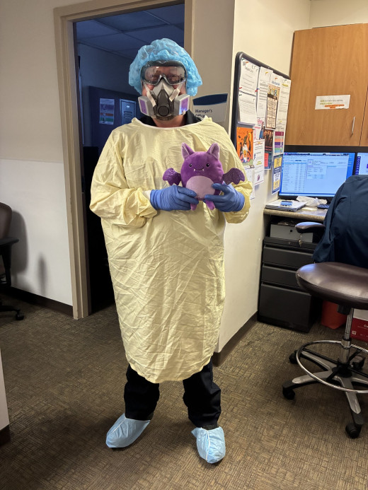 The Registration and Police team, aka the Rabies Revolters, went batty (in the best way) with their bat rabies prevention poster, featuring a stuffed bat buddy rocking PPE flair!