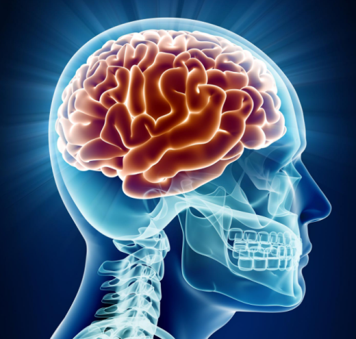 Brain Power